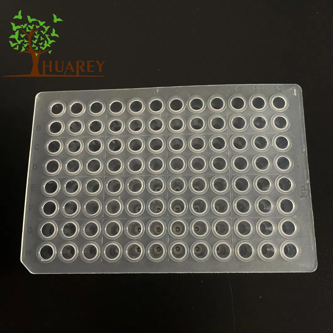 PCR Plate Transparent Lab Plastic Laboratory Plastic 96 Well PCR Plate Transparent