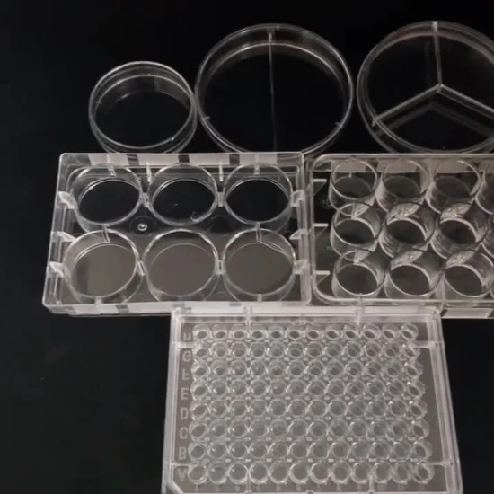 Piastre Petri monouso in plastica da 90X15 mm Contenitore per colture cellulari da 9 cm