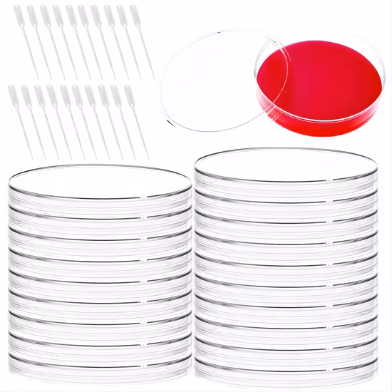 Piastre Petri monouso in plastica da 90X15 mm Contenitore per colture cellulari da 9 cm